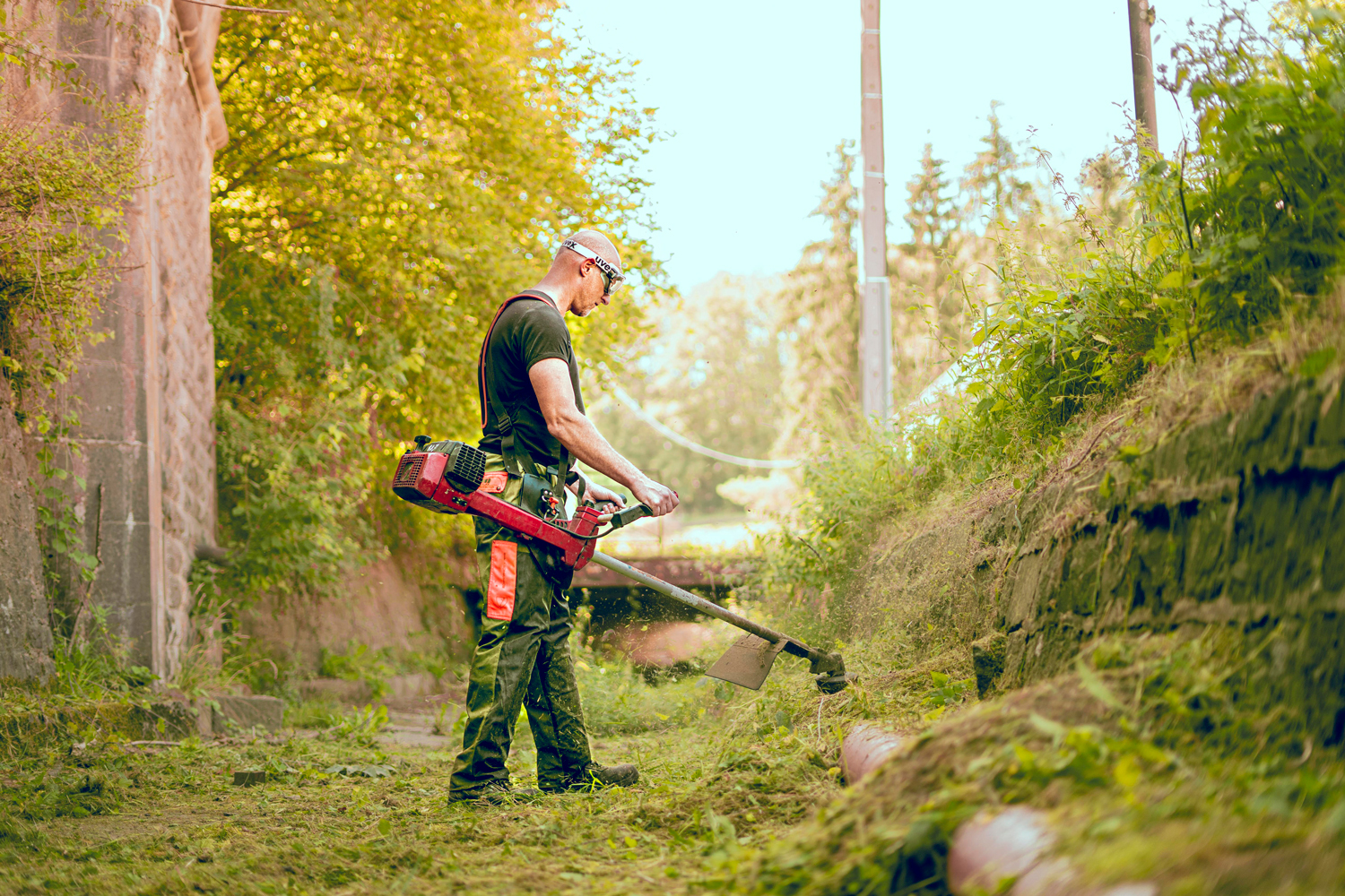 Photo entreprise jardinier